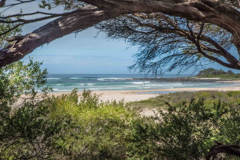 BIG4 Tasman Holiday Parks - Racecourse Beach - Holiday Jervis Bay 7