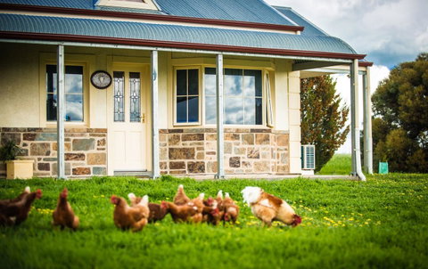 Barossa Vineyard Cottages - Holiday Jervis Bay 40