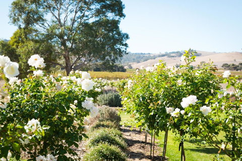 Barossa Vineyard Cottages - Holiday Jervis Bay 1