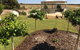 Barossa Vineyard Cottages - thumb 43