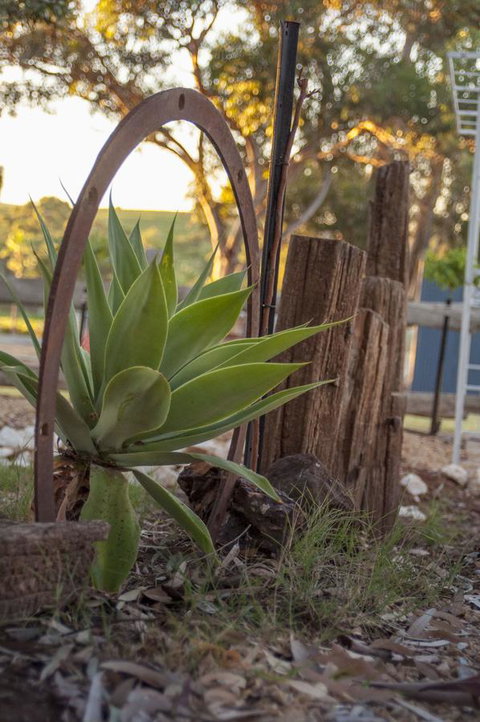 Seppelts View Cabins - Holiday Jervis Bay 37
