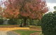 Barossa Retro BnB - thumb 30