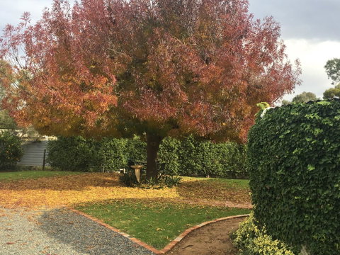 Barossa Retro BnB - Holiday Jervis Bay 30