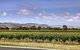 Barossa Retro BnB - thumb 2