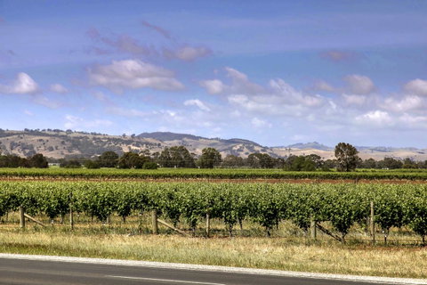 Barossa Retro BnB - Holiday Jervis Bay 2