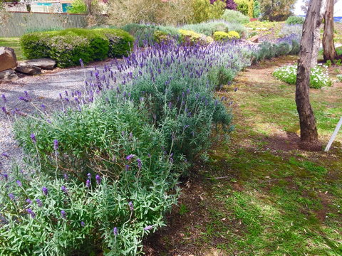 Barossa Retro BnB - Holiday Jervis Bay 23
