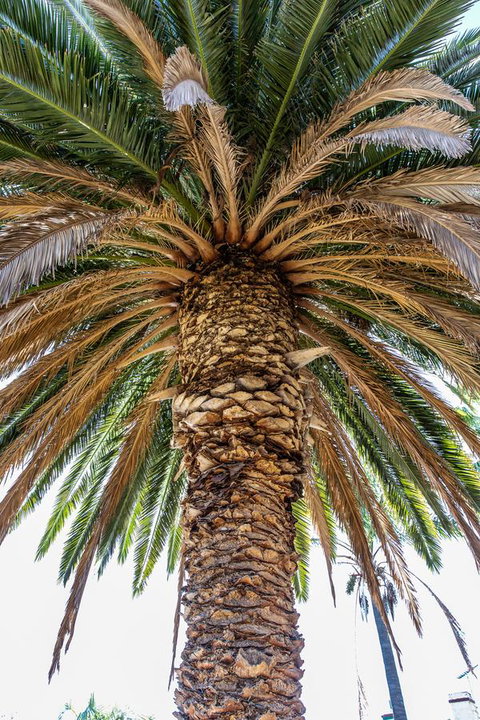 Rivergum Cottages Gawler Barossa Region - Holiday Jervis Bay 27