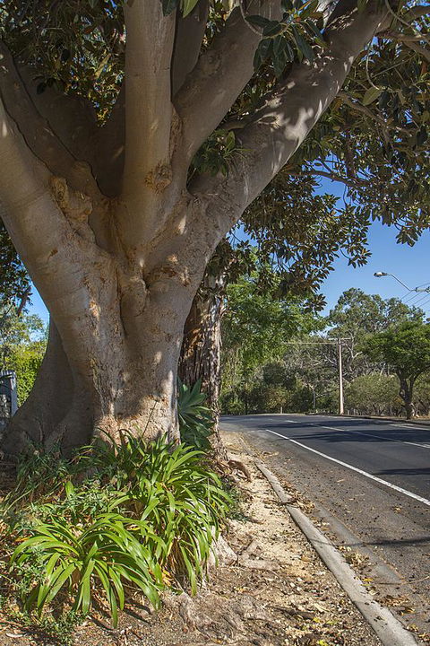 Stoneleigh Cottage Bed And Breakfast - Holiday Jervis Bay 25