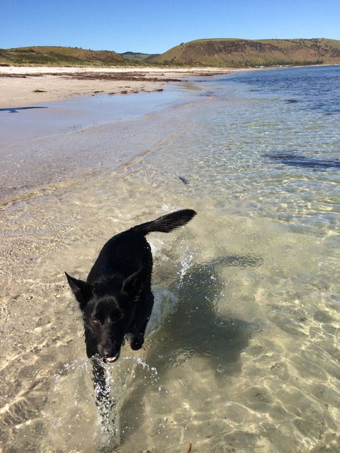 Beachside Holiday Park - Holiday Jervis Bay 17