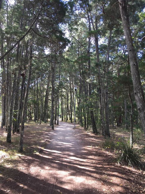 Brunswick Heads Treetop Studio - Holiday Jervis Bay 8