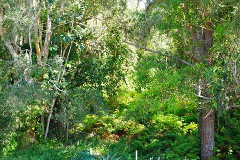 Brunswick Heads Treetop Studio - Holiday Jervis Bay 20