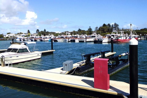 Robetown Motor Inn & Apartments - Holiday Jervis Bay 9