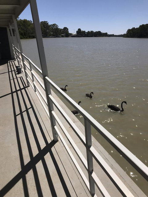 Murray River Queen - Holiday Jervis Bay 7