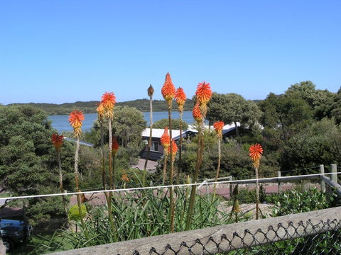Lakeside Tourist Park - Holiday Jervis Bay 3
