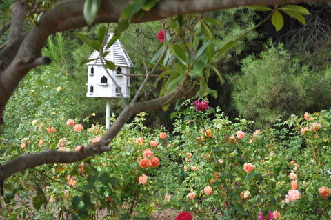 The Lyndoch Motel - Holiday Jervis Bay 2