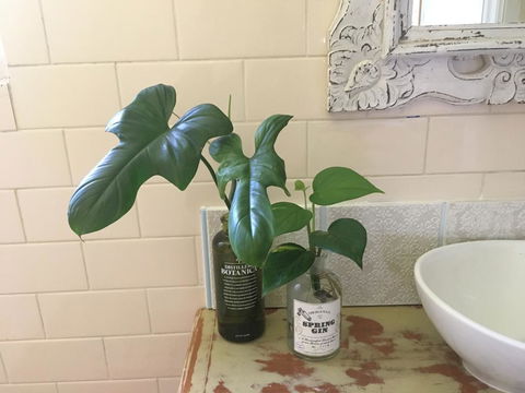 Yallaroo Cottage - Holiday Jervis Bay 13