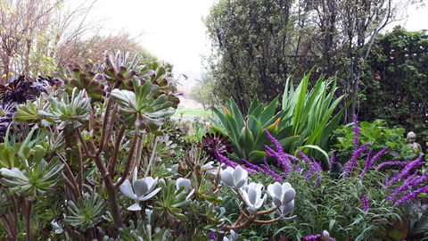 Linger Longer Vineyard - Holiday Jervis Bay 15