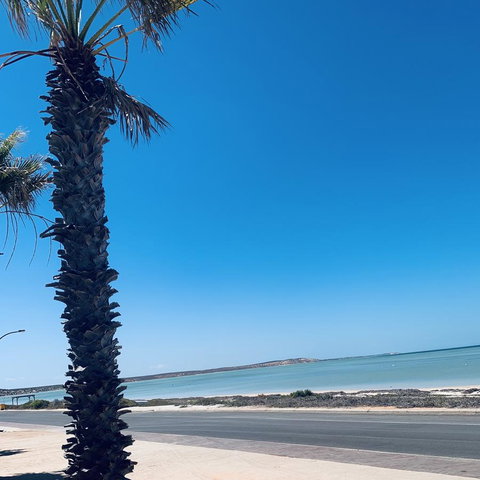 Bay Lodge - Holiday Jervis Bay 8