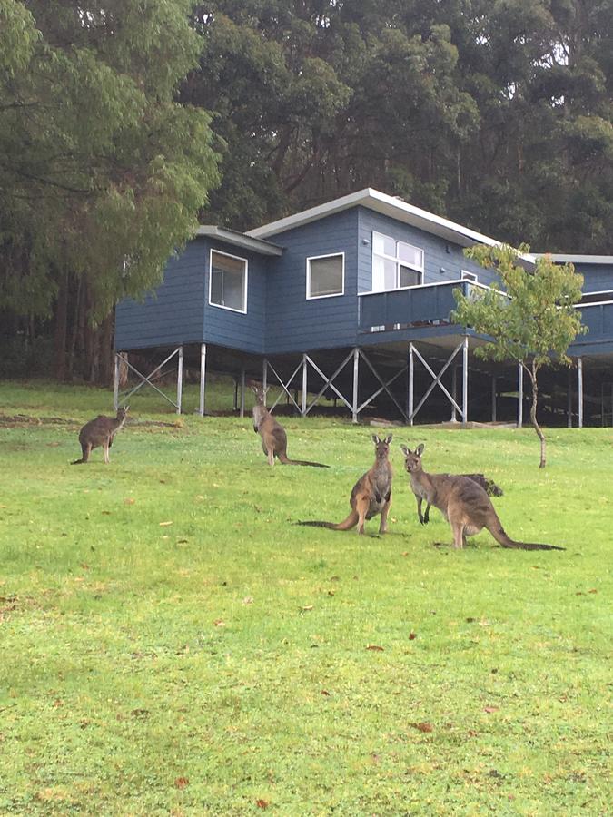 Holiday Jervis Bay