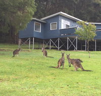 Blue House Denmark - Holiday Jervis Bay