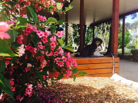 Armidale Tourist Park - Holiday Jervis Bay 34