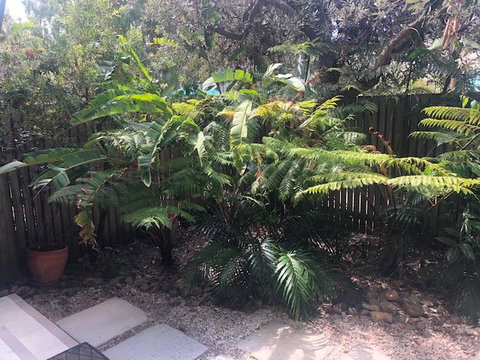 East On Byron - Holiday Jervis Bay 40