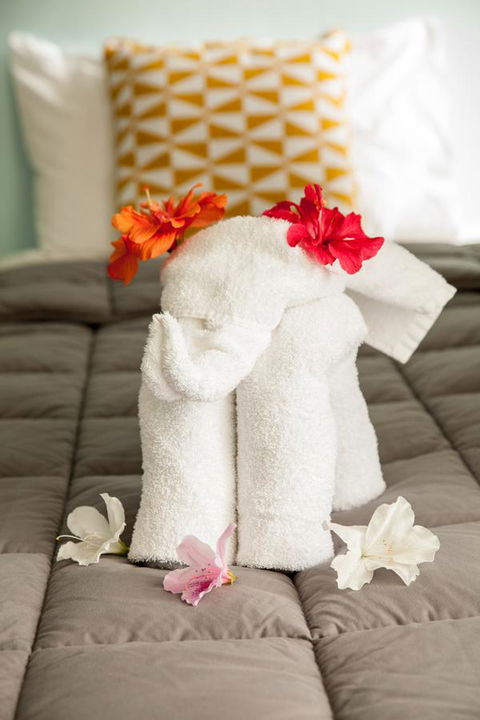 Kempsey Rose Motor Inn - Holiday Jervis Bay 17