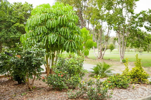 Kempsey Rose Motor Inn - Holiday Jervis Bay 42