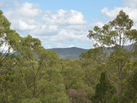 Villa Executive 2br Cypress DS Located Within Cypress Lakes Resort - Holiday Jervis Bay 8