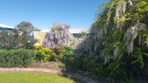 Almond Inn - Holiday Jervis Bay 28