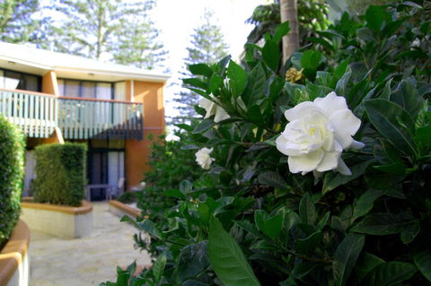 The Crest Byron Bay - Holiday Jervis Bay 29