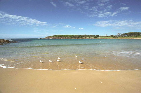 On The Beach Getaway - Holiday Jervis Bay 12