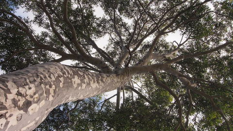 Bundle Hill Cottages - Holiday Jervis Bay 20