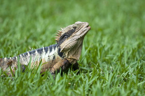 Flynns Beach Resort - Holiday Jervis Bay 14