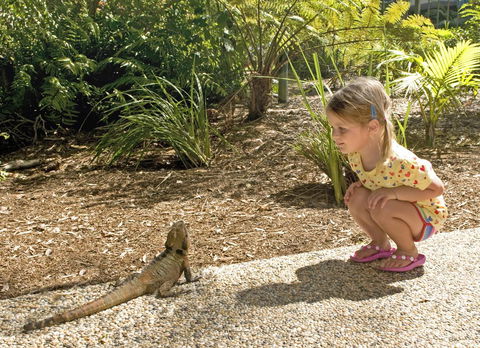 Flynns Beach Resort - Holiday Jervis Bay 16