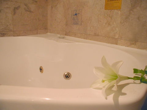 Novotel Sydney Brighton Beach - Holiday Jervis Bay 11