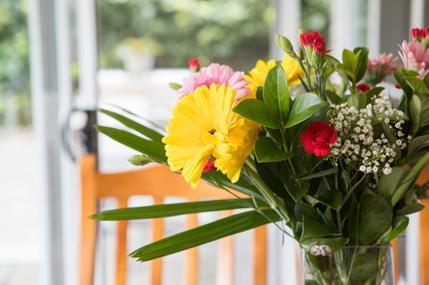 Armidale Cottage - House 2 - Holiday Jervis Bay 12
