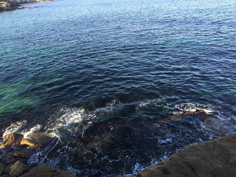 Coogee Sands Hotel & Apartments - Holiday Jervis Bay 30