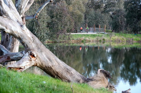 Mercure Albury - Holiday Jervis Bay 15