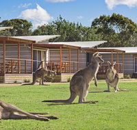 Discovery Parks  Pambula Beach - Holiday Jervis Bay