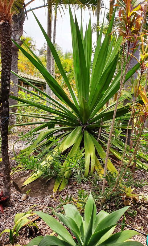 Ballina Beach Resort - Holiday Jervis Bay 35