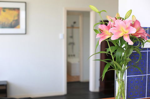 Little Coogee Hotel - Holiday Jervis Bay 22