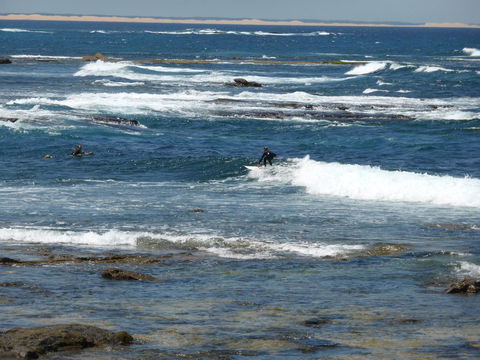 Arena Luxury Beachfront Apartment - Holiday Jervis Bay 26