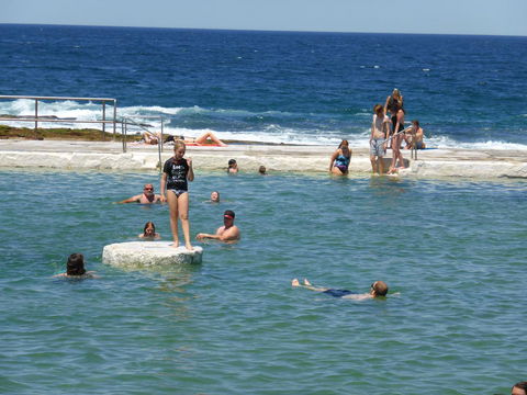 Arena Luxury Beachfront Apartment - Holiday Jervis Bay 33