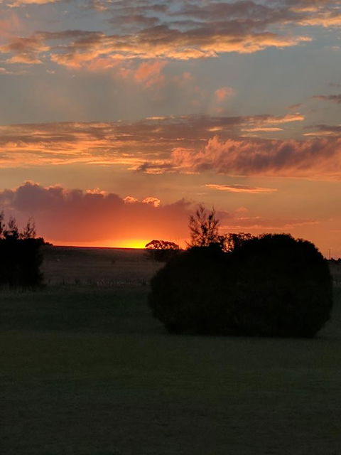 Madigan Wine Country Cottages - Holiday Jervis Bay 13