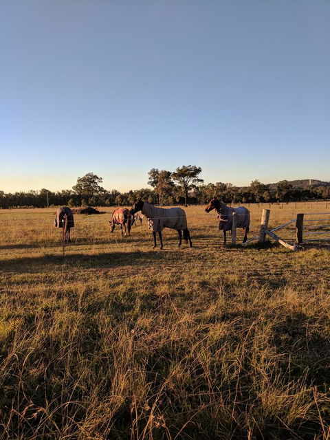 Madigan Wine Country Cottages - Holiday Jervis Bay 8