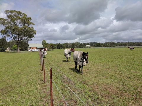 Madigan Wine Country Cottages - Holiday Jervis Bay 9