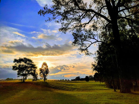 Madigan Wine Country Cottages - Holiday Jervis Bay 11