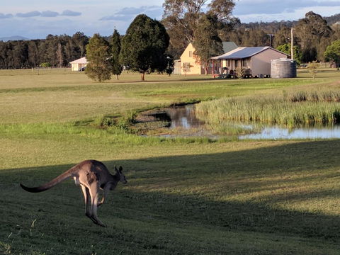 Madigan Wine Country Cottages - Holiday Jervis Bay 6