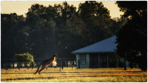 Madigan Wine Country Cottages - Holiday Jervis Bay 5